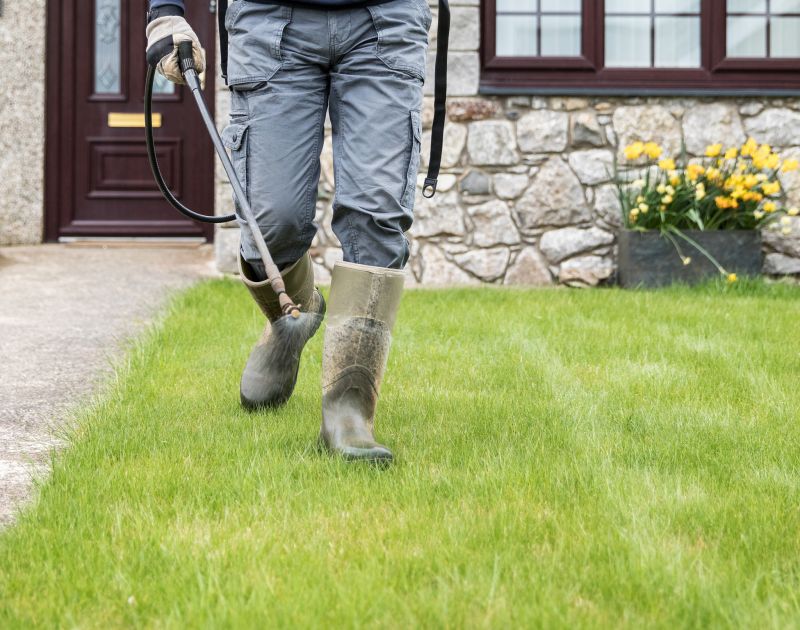 Local Regrading Yard pros at work