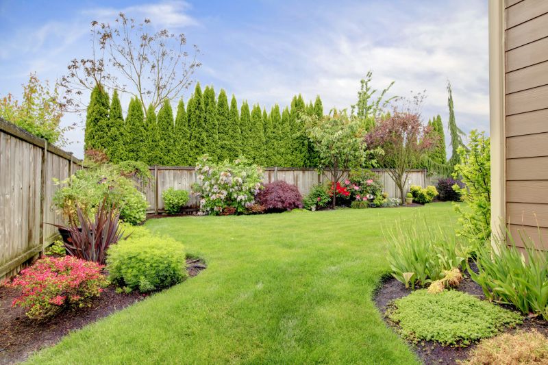Regrading Yard